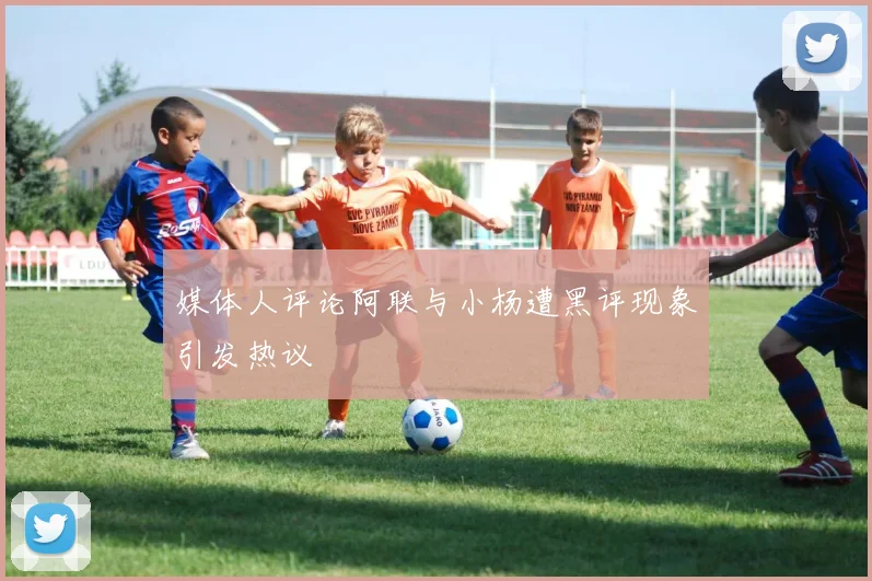 媒体人评论阿联与小杨遭黑评现象引发热议