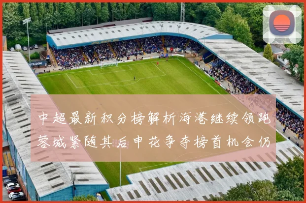 中超最新积分榜解析海港继续领跑蓉城紧随其后申花争夺榜首机会仍在