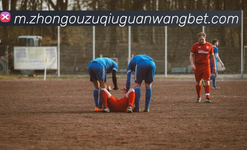 中欧体育服务体系